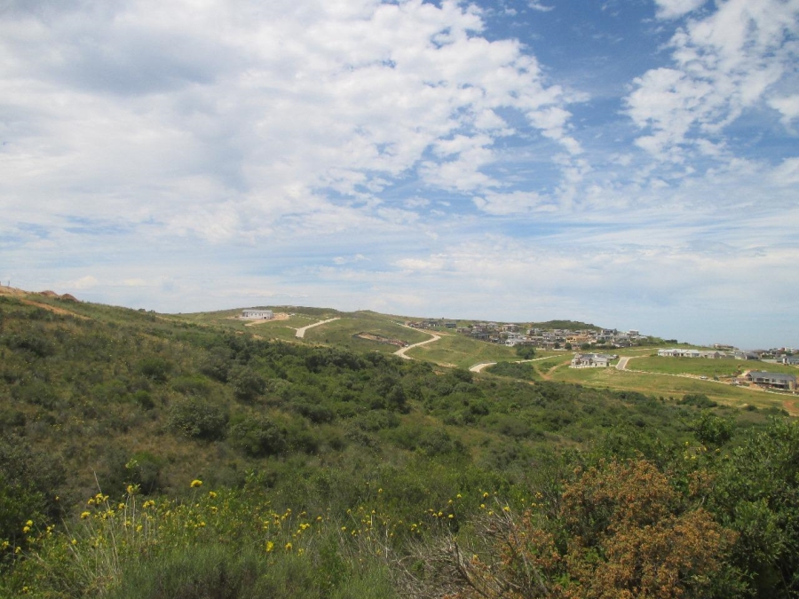 0 Bedroom Property for Sale in Outeniquasbosch Western Cape